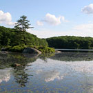 Little Long Pond